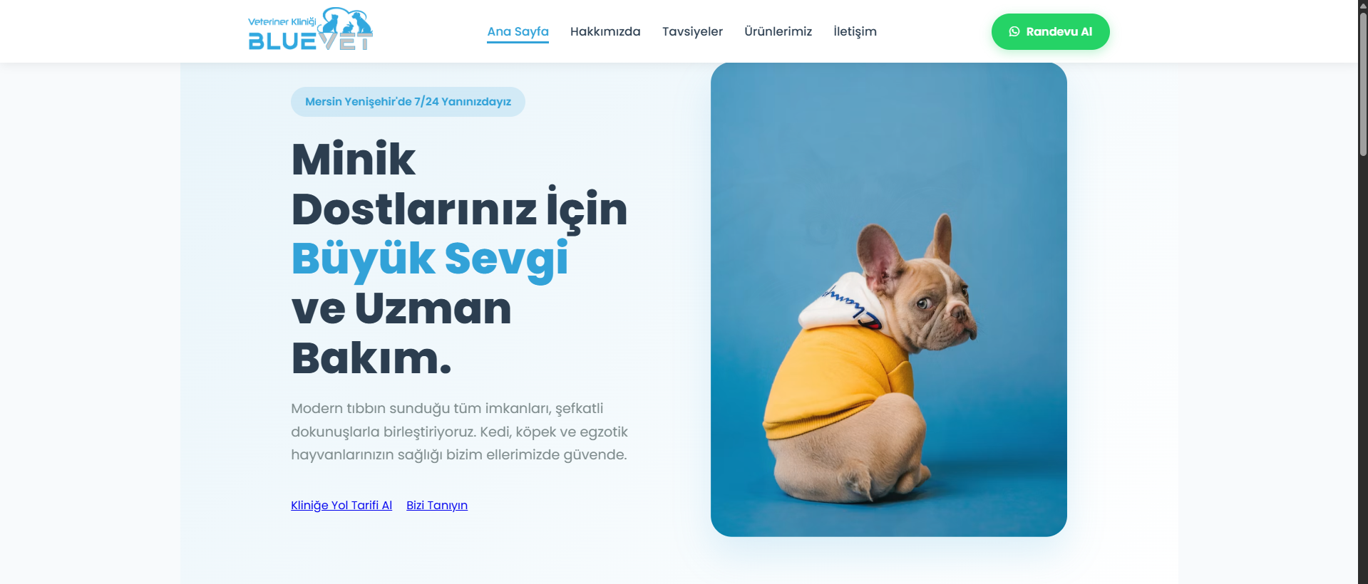 BlueVet kurumsal web sitesi