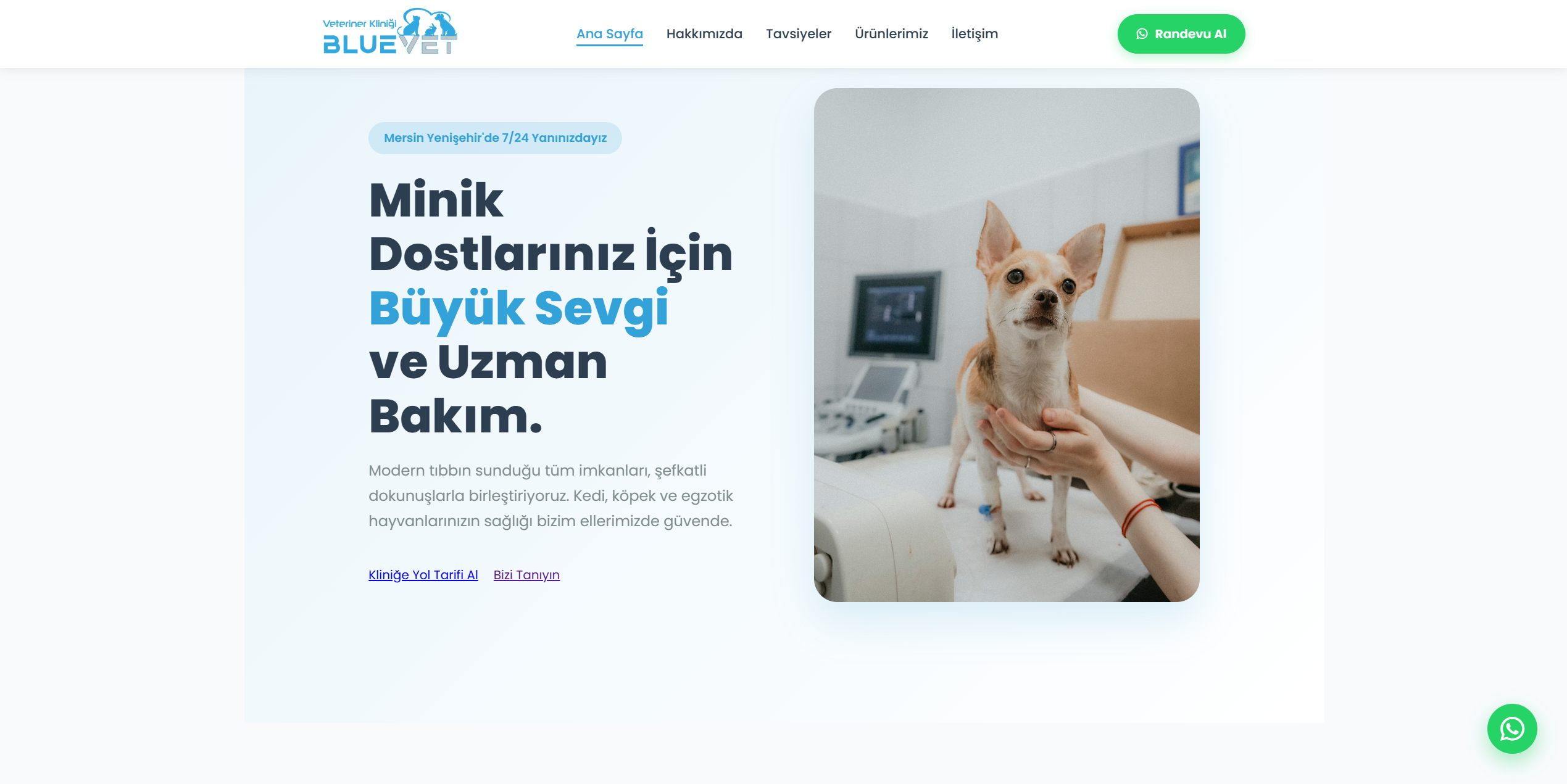 Bluevet Web Tasarımı